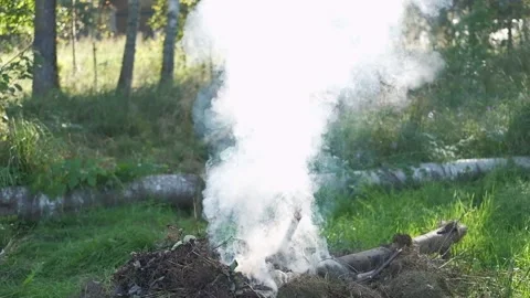 White smoke. Sun Light and Fog. Real fire smoke exploding outdoors against Stock Footage 321005266
