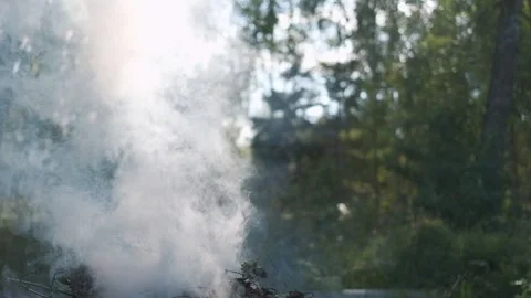 White smoke. Sun Light and Fog. Real fire smoke exploding outdoors against Stock Footage 321005306