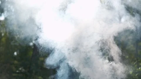 White smoke. Sun Light and Fog. Real fire smoke exploding outdoors against Stock Footage 321005333