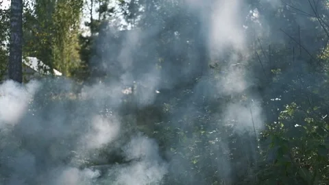 White smoke. Sun Light and Fog. Real fire smoke exploding outdoors against Stock Footage 321005338
