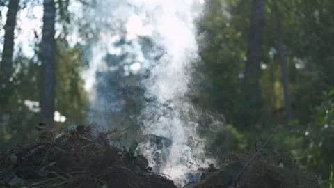 White smoke. Sun Light and Fog. Real fire smoke exploding outdoors against Stock Footage 324234728