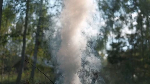 White smoke. Sun Light and Fog. Real fire smoke exploding outdoors against Stock Footage 324235094