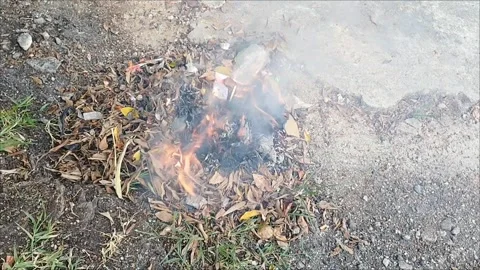 White smoke video of open burning of dry leaves Stock Footage 320113424
