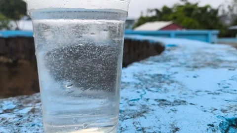White snapper fish roe: Fresh raw fish eggs in a transparent cup for aquaculture Stock Footage 344157530