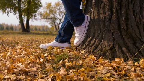 White sneakers. Stock Photos