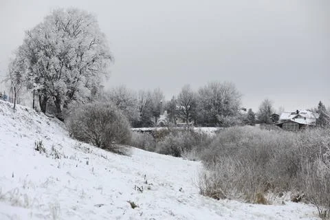 White snow on a bare tree branches on a frosty winter day, close up. Natura.. Fotos de archivo
