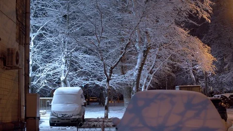 White snow covered tree against the sky Stock Footage 123161935