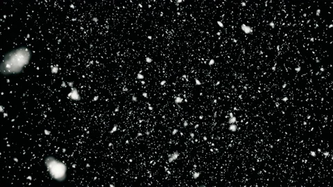 White snow falling on isolated black background Stock Footage 164134496