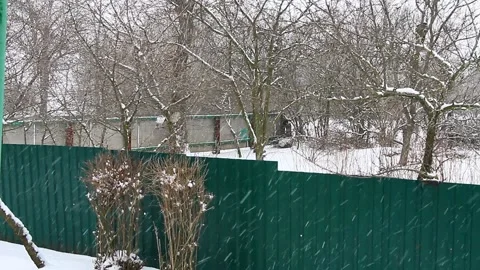 White snow falls to the ground Stock Footage 148743118