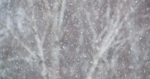 White snow falls in the yard and covers everything around Stock Footage 167651645