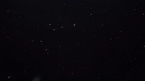 White snow flakes falling at night, looped footage Stock Footage 121168372