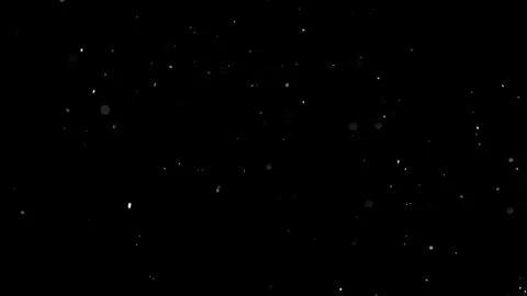 White Snow flakes overlay, black background. Winter effect. Stock Footage 295347360