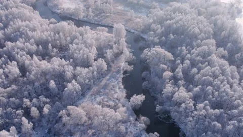 White snow forest with river. Video aerial of winter landscape from drone Video stock 167992060