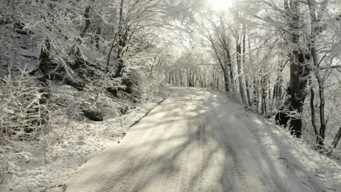 White snow, forest winter road. Frosty sunny day in the mountains Stock Footage 148733201