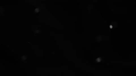 White snow isolated on black background, natural and real winter Stock Footage 342400289