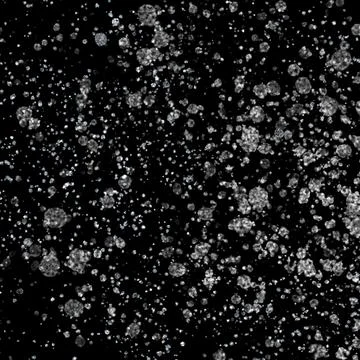 White snow overlay layer on black background, snowflakes bokeh and snowfall.. Stock Illustration