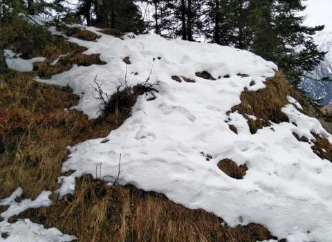 White snow patch on a hill selective focus Stock Photos