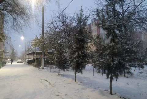 White snow Stock Photos