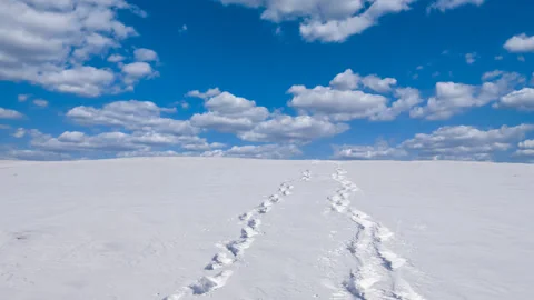 White snowbound plain by a bright day time lapse scene Stock Footage 276167975