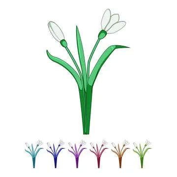 White snowdrop flowers symbolizing spring awakening and new growth Stock Illustration