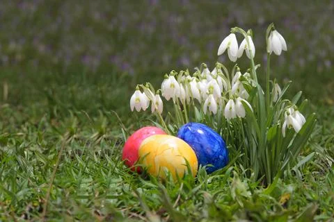 White snowdrops and colored Easter eggs. Stock Photos