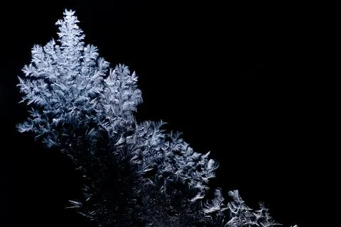 The white snowflakes on a black background Stock Photos
