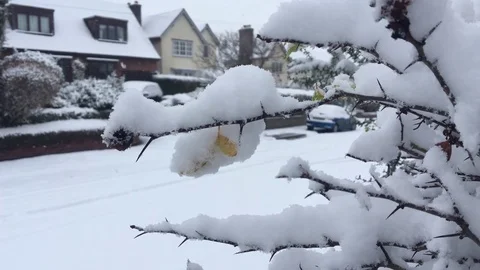 White Snowflakes fall creating a charming Winter Scene Stock-Footage 84676785