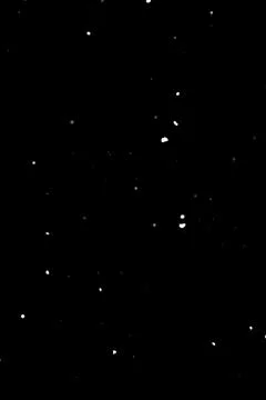 White snowflakes falling on black background, transparent effect overlay for Stock Photos