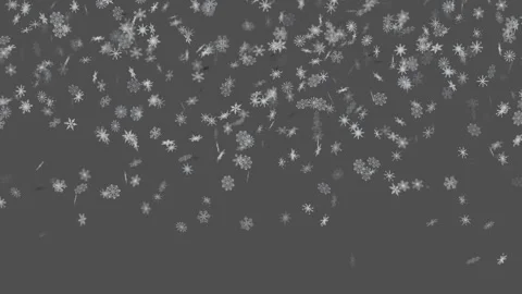 White Snowflakes Falling Gently Isolated on a Solid Dark Background 스톡 동영상 346919139