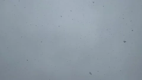 White Snowflakes Falling from the Sky in Winter at Chatham, Cape Cod Stock Footage 230286914