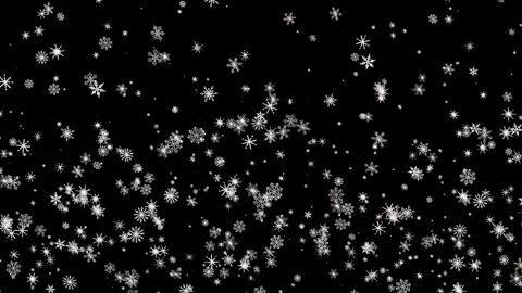 White snowflakes falling slowly isolated black background winter 스톡 동영상 344296415
