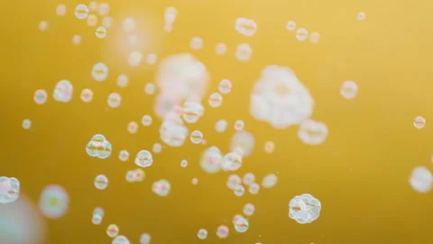 White soap bubbles flutter on a yellow background in slow motion Stockbeeldmateriaal 137703111