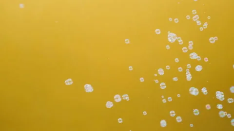 White soap bubbles flutter on a yellow background in slow motion Stockbeeldmateriaal 137703641