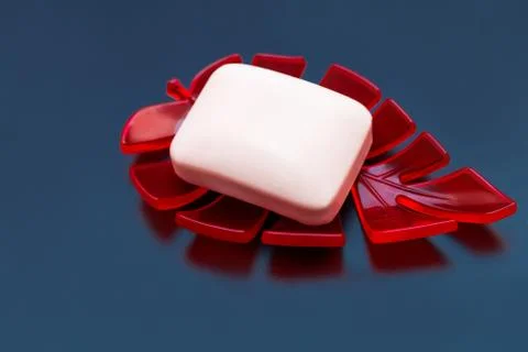 White soap in soap dish Stock Photos