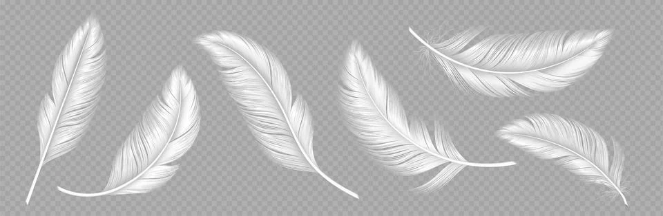 White soft feathers on transparent background Stock Illustration