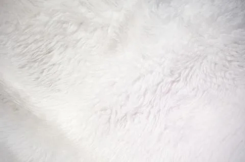 White soft fur texture background 库存照片