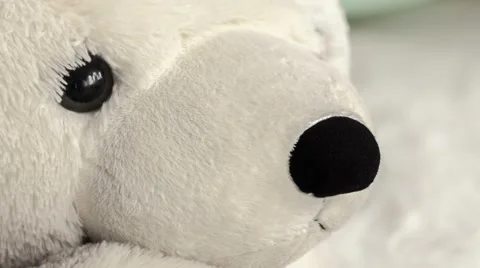 White soft toy bear Видео 58424336
