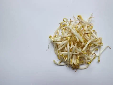 White space, bean sprouts form a circle with a white background Stock Photos