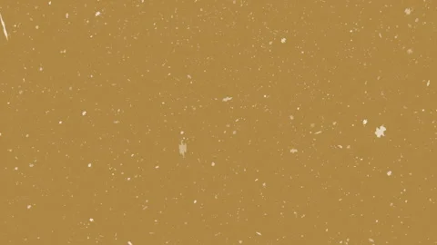 White specks on a brown background. Stock Footage 316906298