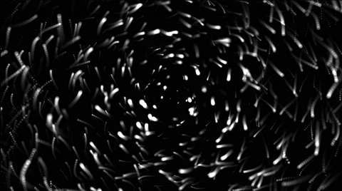 White Spheres Rotating On Black Background. 動画素材 66043636