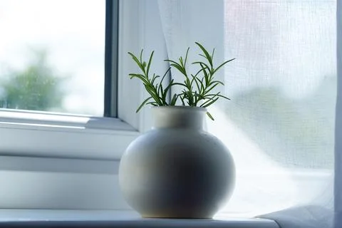 A white, spherical ceramic vase Stock Photos