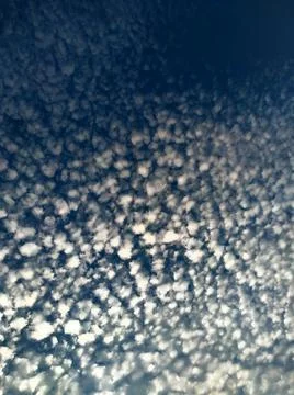 White spherical clouds Stock Photos