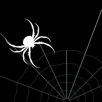White spider on the black background. Vector silhouette Stock Illustration