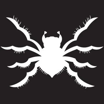White spider on a black background. vector illustration. Drawing by hand. Stock Illustration