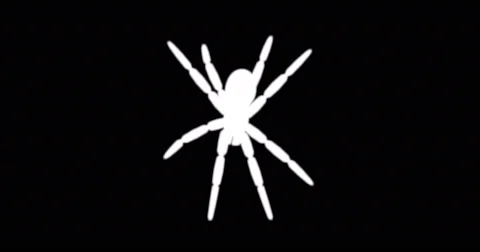 White spider crawling on black background Stock Footage 68654141