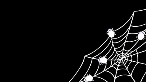 White Spider Web and Spiders Animation Corner Frame on Black Background for.. Stock Footage 345194912