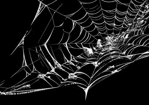 White spider web with a dense center isolated on a black Stock Photos