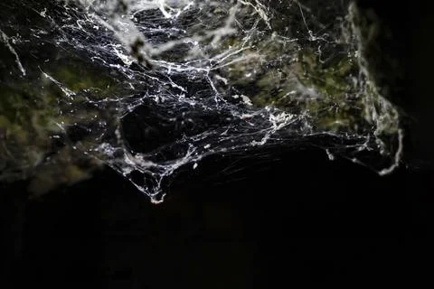 White spider web in rays of light in dark cave. Stock Photos