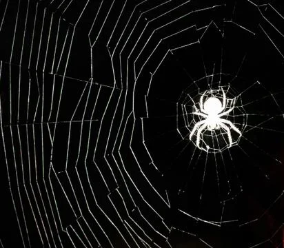 White spider's net at night Stock Photos