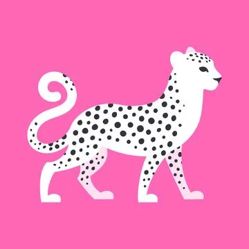 White spotted leopard on pink background. Graphic flat vector illustration. Stock Illustration